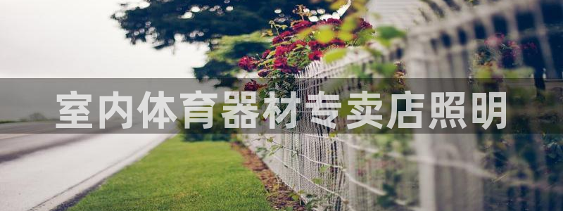 极悦生活家是什么平台的产品：室内体育器材专卖店照明