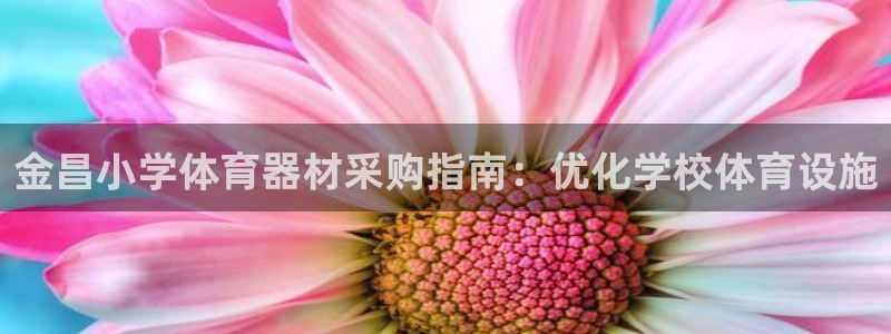 极悦娱乐最新版本更新内容分享：金昌小学体育器材采购指