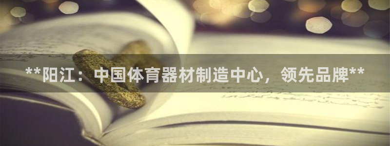 极悦娱乐代理：**阳江：中国体育器材制造中心，领先品