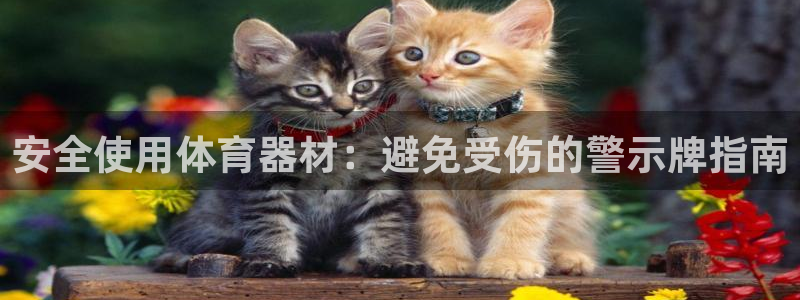 极悦娱乐的内部员工福利：安全使用体育器材：避免受伤的