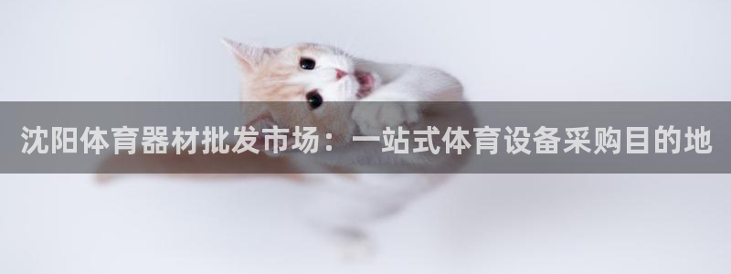 极悦平台注册：沈阳体育器材批发市场：一站式体育设备采