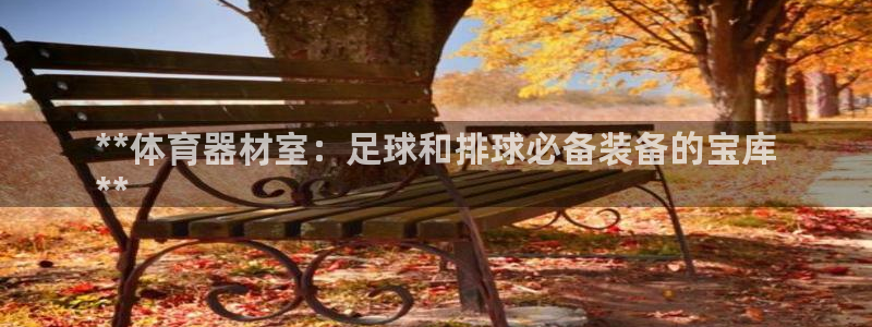 极悦平台注册流程详解图：**体育器材室：足球和排球必