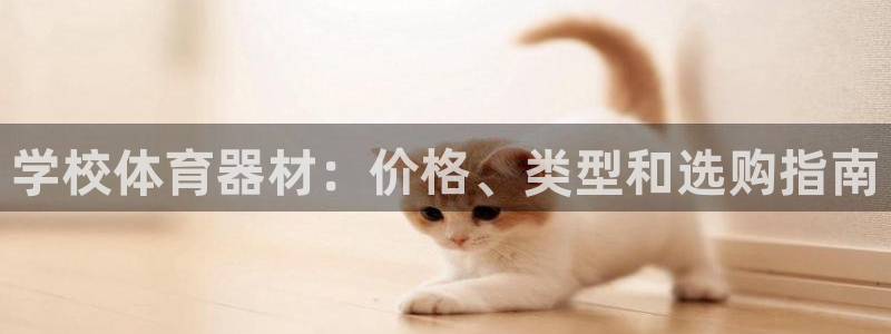 极悦娱乐贴吧官网：学校体育器材：价格、类型和选购指南