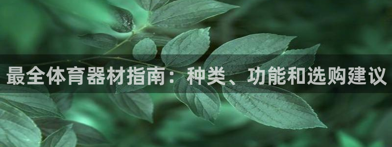 极悦娱乐创始人背景故事介绍：最全体育器材指南：种类、