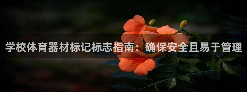 极悦娱乐官网app下载安装：学校体育器材标记标志指南