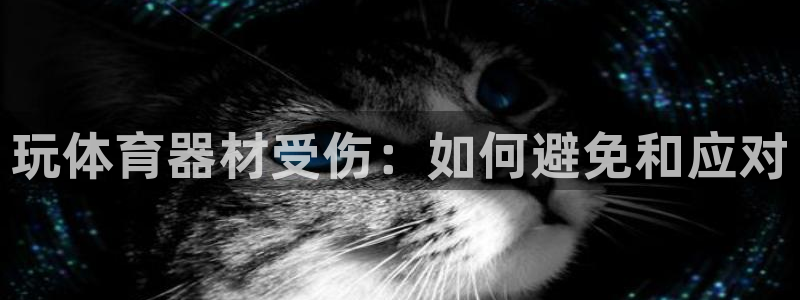 极悦平台登录7.0.2.4手机版下载安卓：玩体育器材