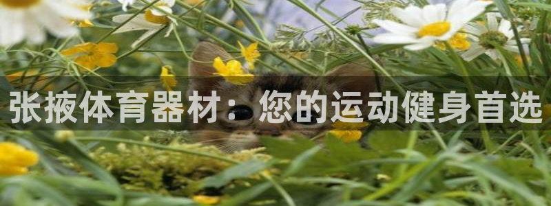 极悦平台注册失败如何解决方法：张掖体育器材：您的运动