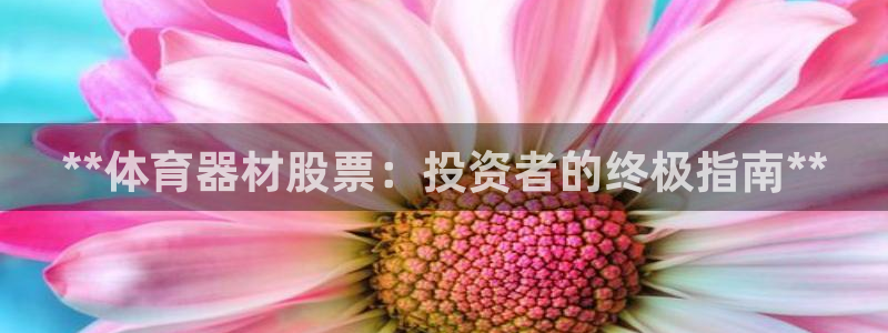 极悦平台登录方式有哪些：**体育器材股票：投资者的终