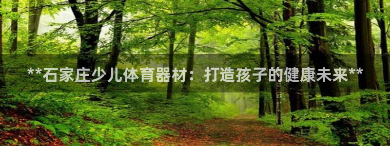 极悦娱乐官网最新版本更新内容：**石家庄少儿体育器材