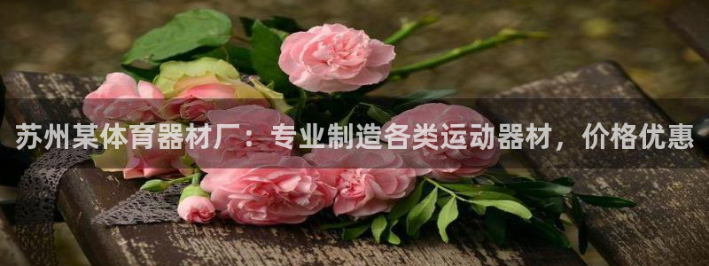 极悦平台创始人背景故事：苏州某体育器材厂：专业制造各