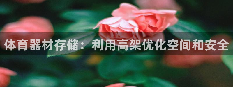 极悦娱乐代理多少钱：体育器材存储：利用高架优化空间和