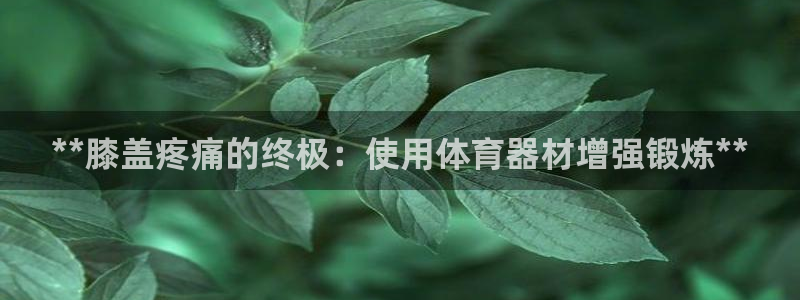 极悦平台是什么平台的：**膝盖疼痛的终极：使用体育器