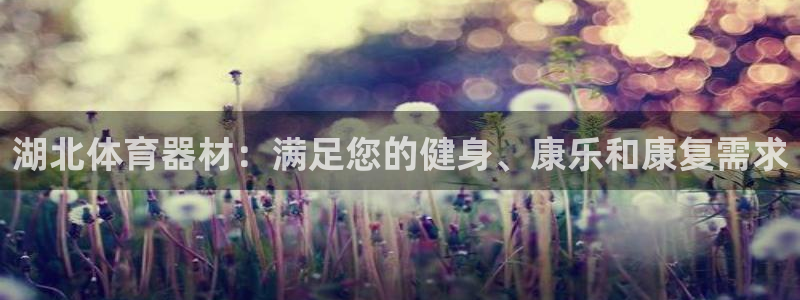 极悦官网登录：湖北体育器材：满足您的健身、康乐和康复