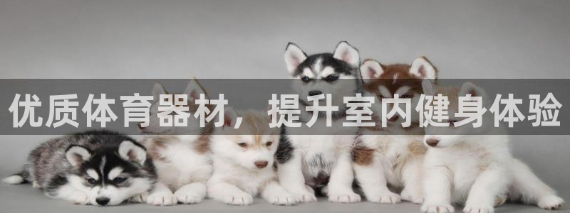 极悦平台注册官方网站下载安装手机版：优质体育器材，提