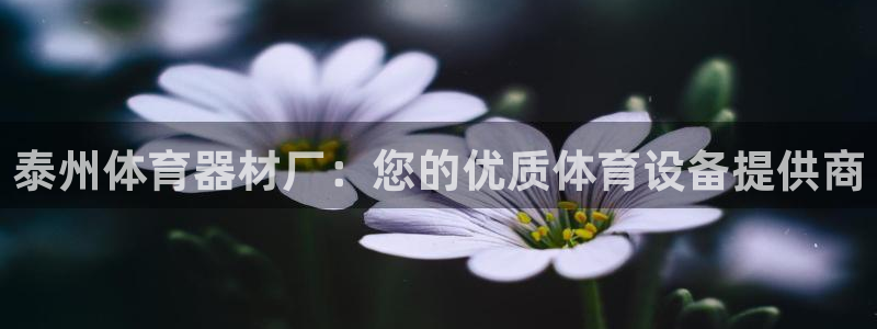 极悦官方网站入口网址是多少：泰州体育器材厂：您的优质