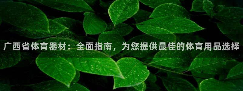 极悦官网的登录方法是什么：广西省体育器材：全面指南，