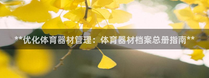 极悦平台官网登录不了怎么办：**优化体育器材管理：体