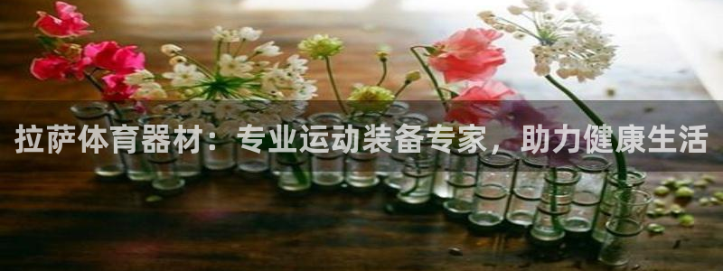 极悦平台与网易合作详情：拉萨体育器材：专业运动装备专