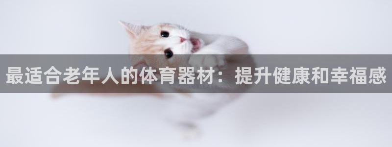 极悦平台代理怎么样：最适合老年人的体育器材：提升健康