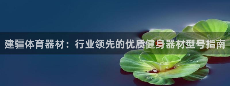 极悦娱乐的背景和历史背景介绍：建疆体育器材：行业领先