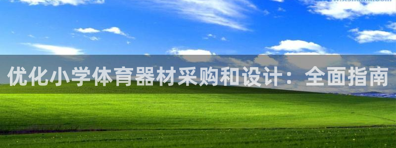 极悦平台客服团队：优化小学体育器材采购和设计：全面指