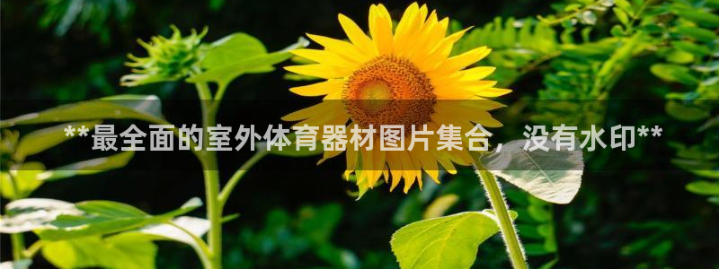 极悦娱乐会被骗吗是真的吗： **最全面的室外体育器材