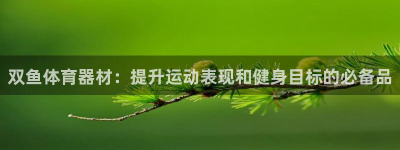 极悦娱乐代理人是谁呀：双鱼体育器材：提升运动表现和健
