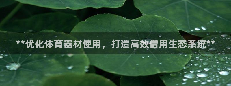 加盟极悦教育要多少钱：**优化体育器材使用，打造高效