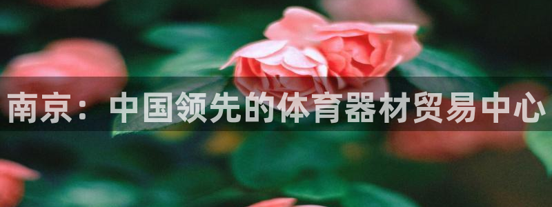 极悦平台用户评价与反馈怎么设置：南京：中国领先的体育