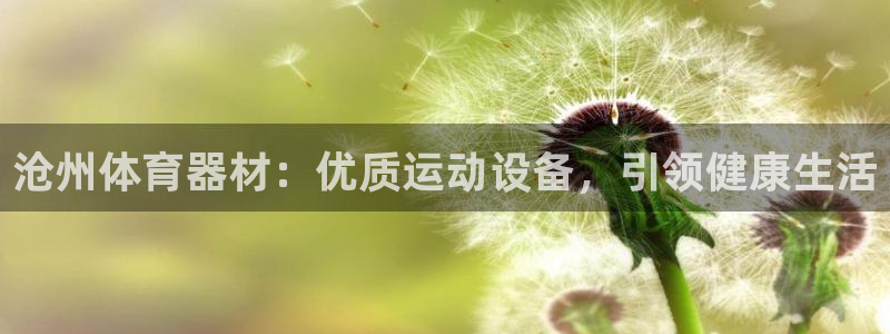 极悦平台注册官网入口：沧州体育器材：优质运动设备，引
