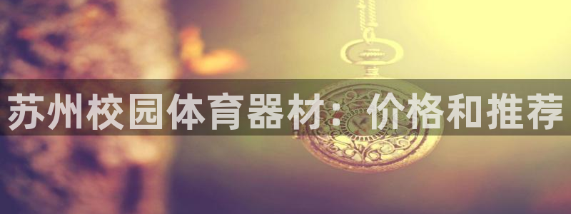 极悦娱乐的创始人背景故事：苏州校园体育器材：价格和推