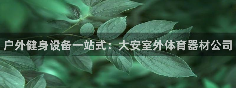 极悦娱乐游戏安全吗：户外健身设备一站式：大安室外体育