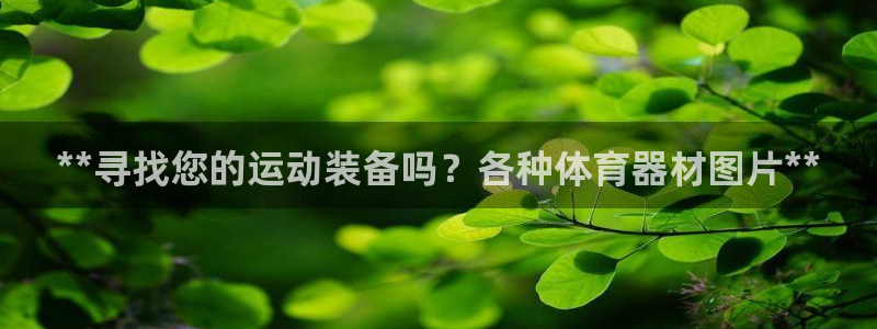 极悦娱乐股东名单：**寻找您的运动装备吗？各种体育器材图片*