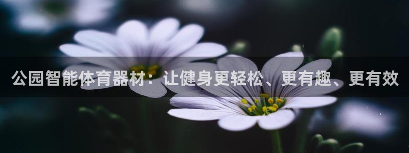 极悦官方网站入口网址：公园智能体育器材：让健身更轻松