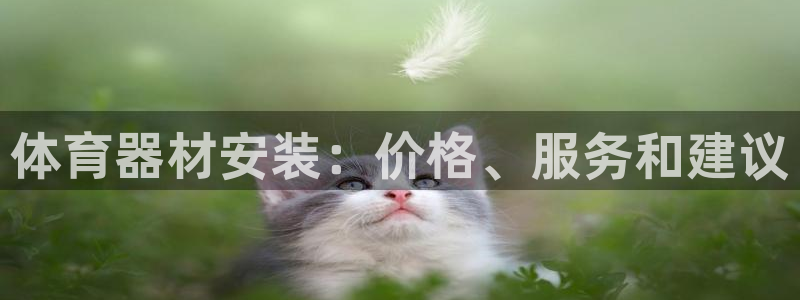 极悦平台注册登录不上：体育器材安装：价格、服务和建议