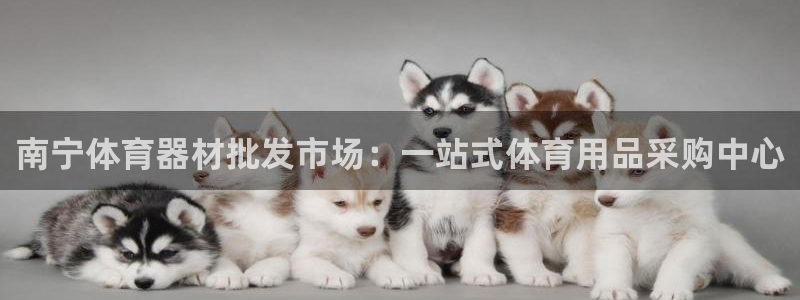 极悦平台官网登录网址是多少：南宁体育器材批发市场：一站式体育