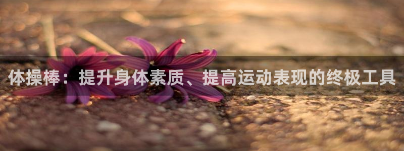 极悦是什么牌子空调的：体操棒：提升身体素质、提高运动