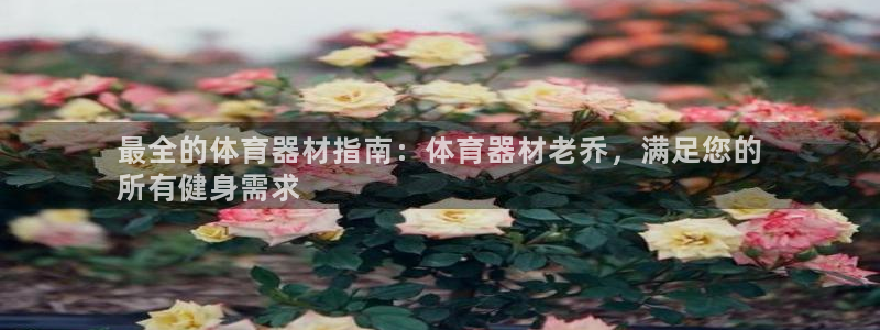 极悦娱乐创始人背景故事介绍：最全的体育器材指南：体育