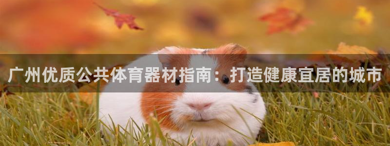 极悦娱乐代理人是谁：广州优质公共体育器材指南：打造健