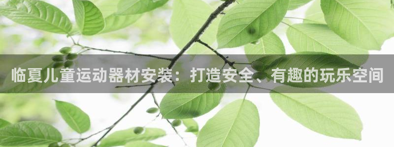 极悦娱乐的背景和历史背景介绍：临夏儿童运动器材安装：