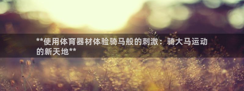 极悦平台注册用户名生成器是什么：**使用体育器材体验