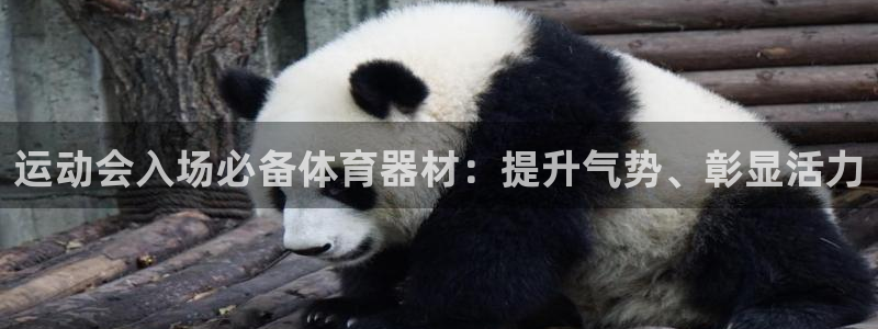 极悦娱乐分7O777：运动会入场必备体育器材：提升气