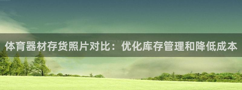 极悦平台注册流程：体育器材存货照片对比：优化库存管理