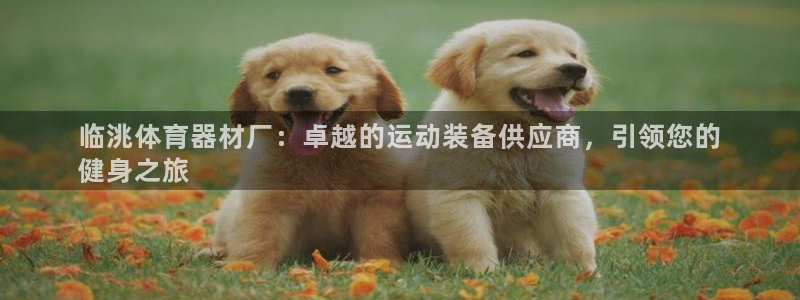 极悦娱乐的创始人背景故事介绍：临洮体育器材厂：卓越的运动装备