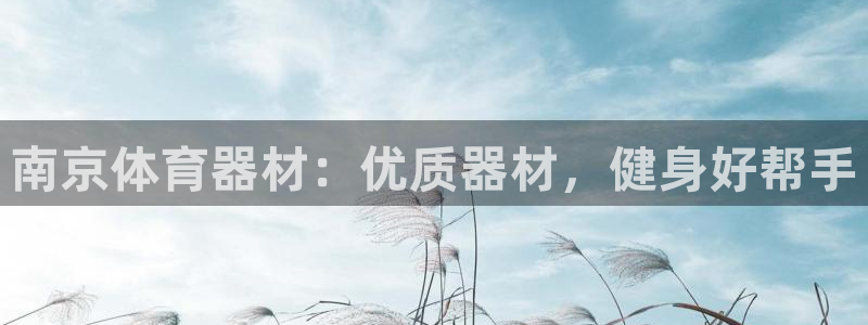 极悦娱乐官网下载：南京体育器材：优质器材，健身好帮手