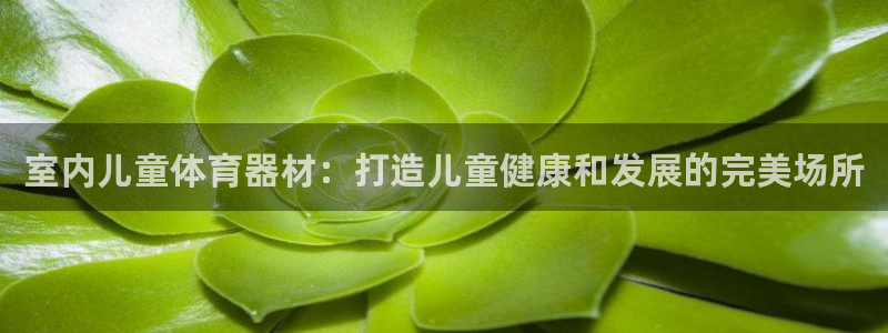 极悦平台客服团队介绍：室内儿童体育器材：打造儿童健康