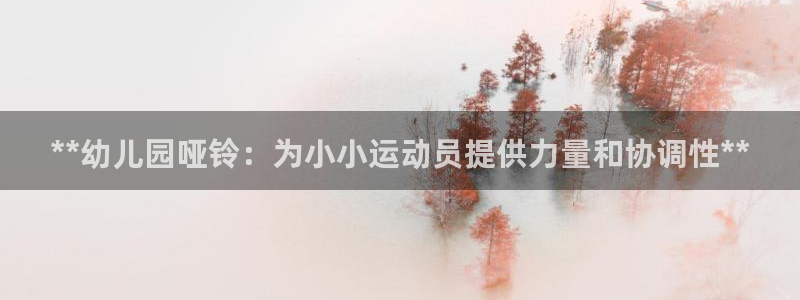 极悦平台app安全吗：**幼儿园哑铃：为小小运动员提