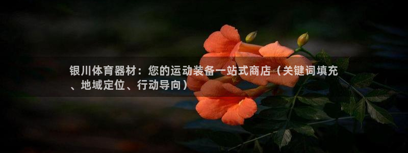 极悦平台集7O777：银川体育器材：您的运动装备一站