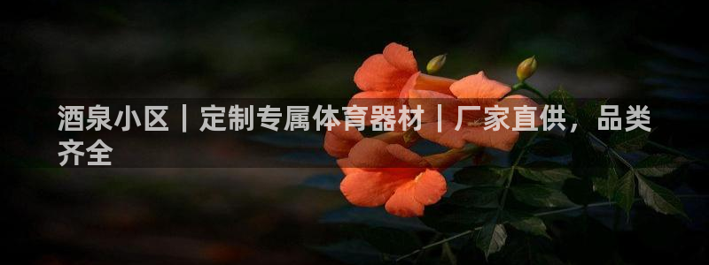 极悦平台app安全吗是真的吗：酒泉小区｜定制专属体育