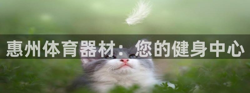 极悦平台app二维码怎么弄：惠州体育器材：您的健身中
